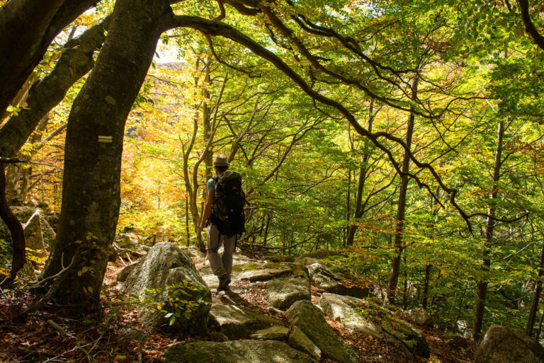 Lire la suite à propos de l’article Des idées de randonnées pédestres dans les Cévennes