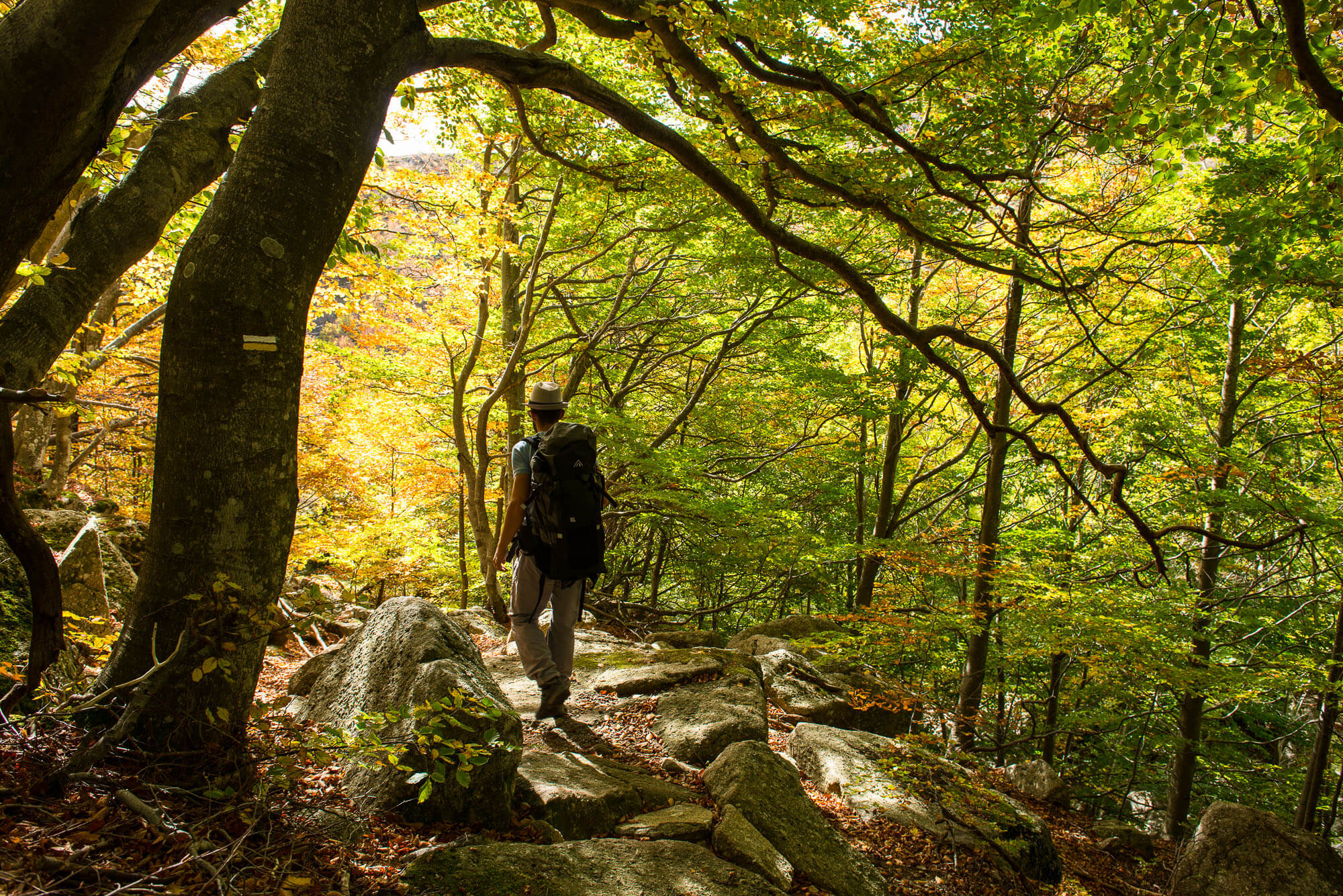 Lire la suite à propos de l’article Des idées de randonnées pédestres dans les Cévennes