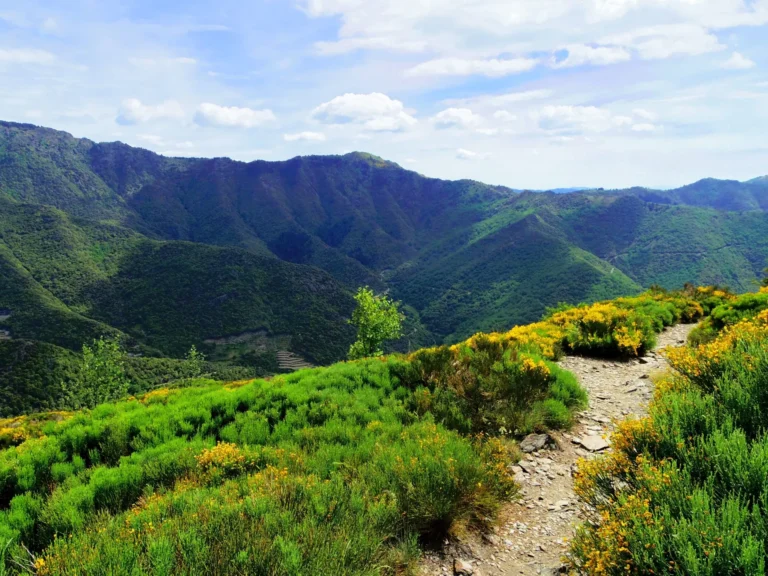 Lire la suite à propos de l’article Cévennes Immersion