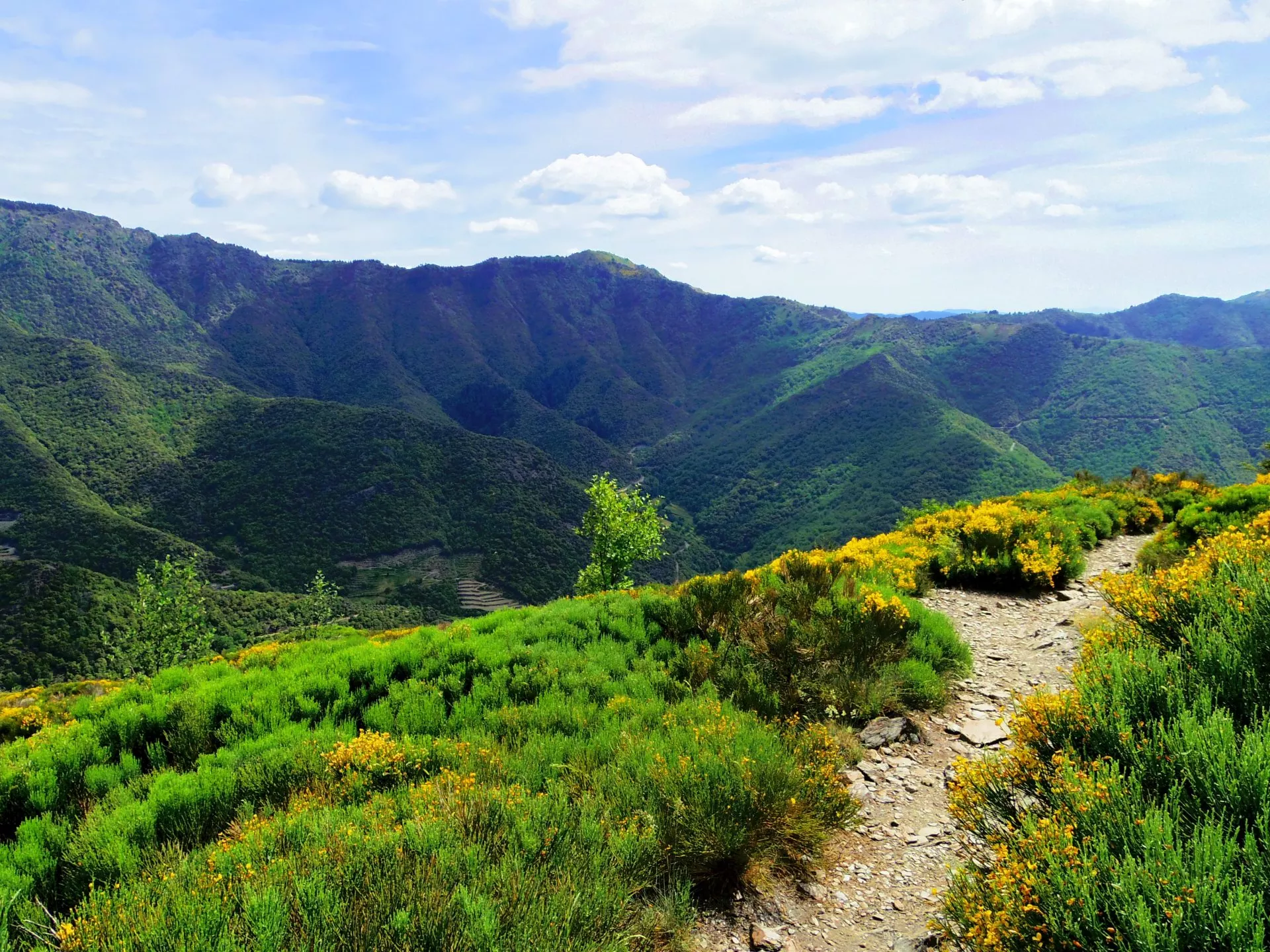 Lire la suite à propos de l’article Cévennes Immersion