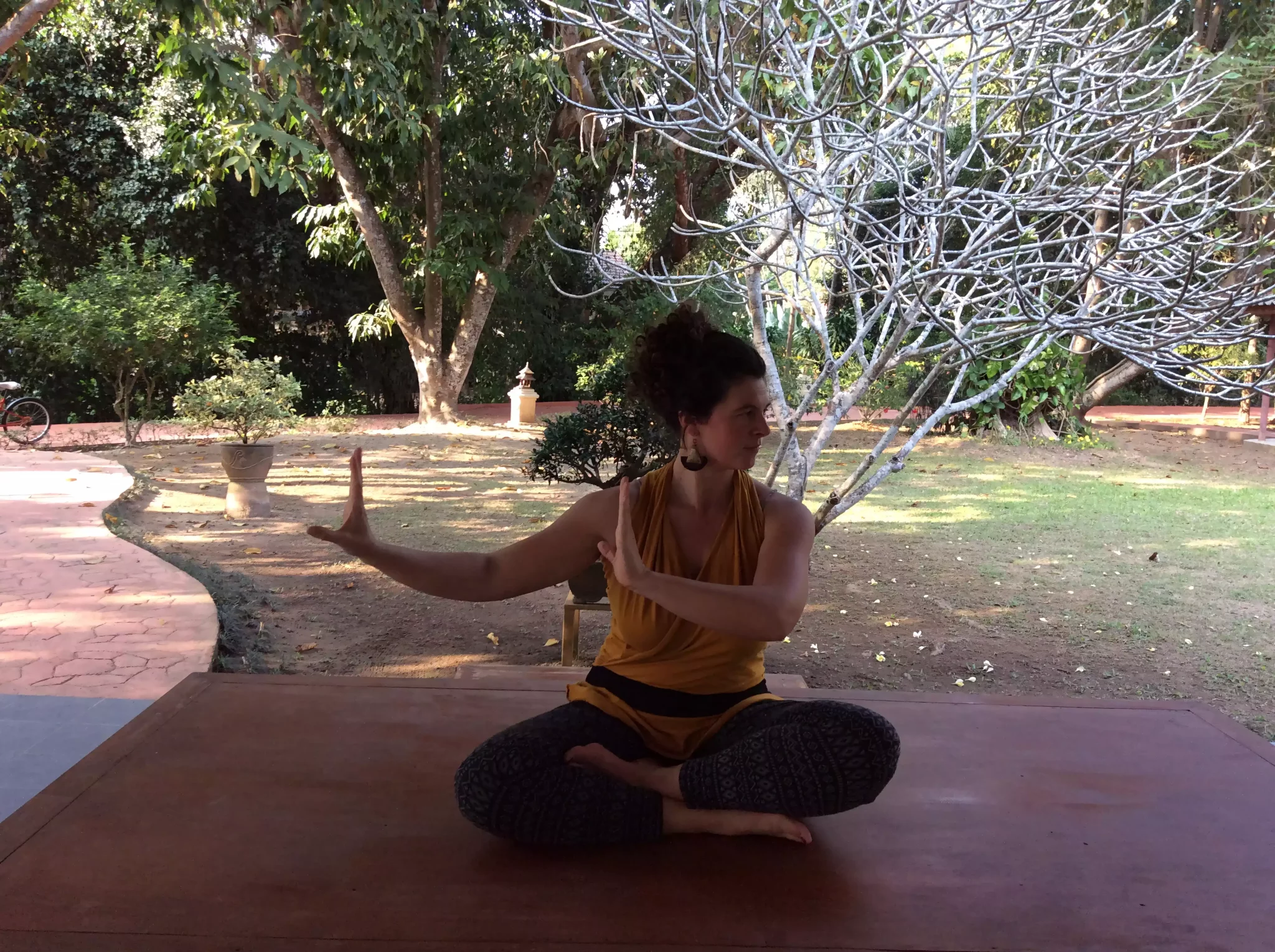 Lire la suite à propos de l’article Tao chemin entre terre et ciel